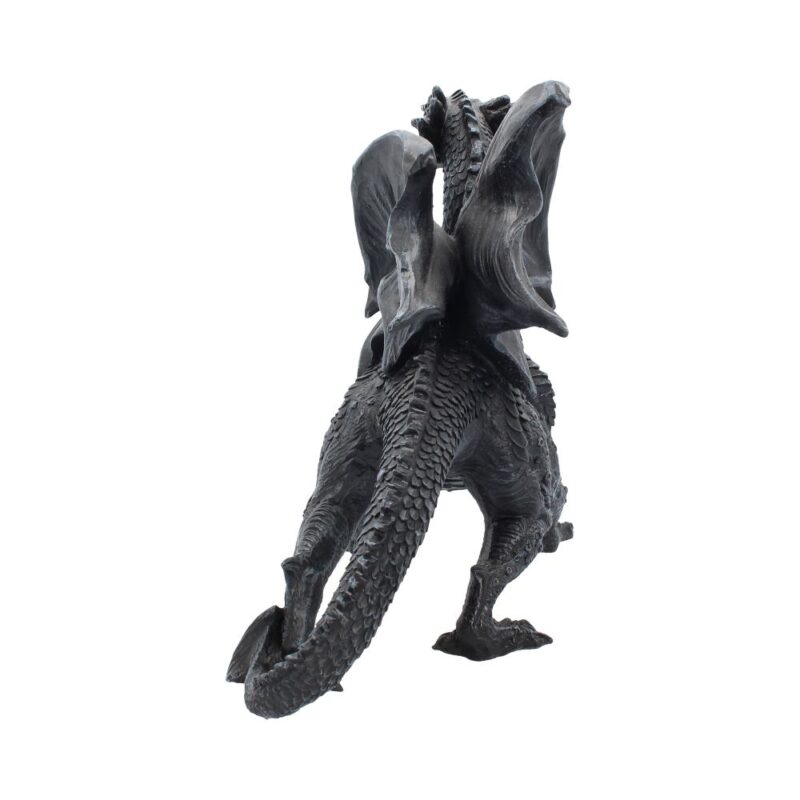 Nemesis Now Obsidian Dragon Watcher 31cm Figurines Large (30-50cm) 5