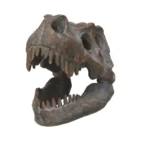 Nemesis Now Freestanding Tyrannosaurus Rex Skull Figurine Ornament 16cm Figurines Medium (15-29cm) 2
