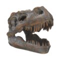 T-Rex Freestanding 16cm Dinosaur Skull Ornament Figurines Medium (15-29cm) 2