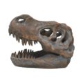 T-Rex Freestanding 16cm Dinosaur Skull Ornament Figurines Medium (15-29cm) 6