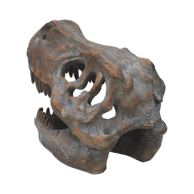 T-Rex Freestanding 16cm Dinosaur Skull Ornament Figurines Medium (15-29cm) 7