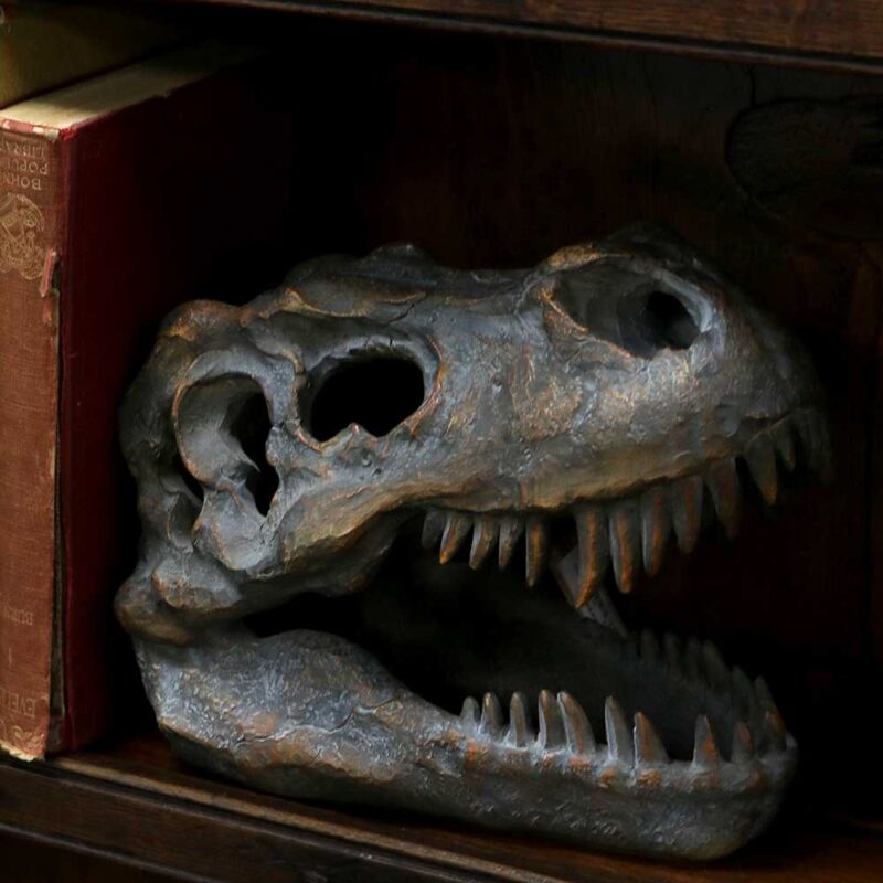 T-Rex Freestanding 16cm Dinosaur Skull Ornament Figurines Medium (15-29cm) 9