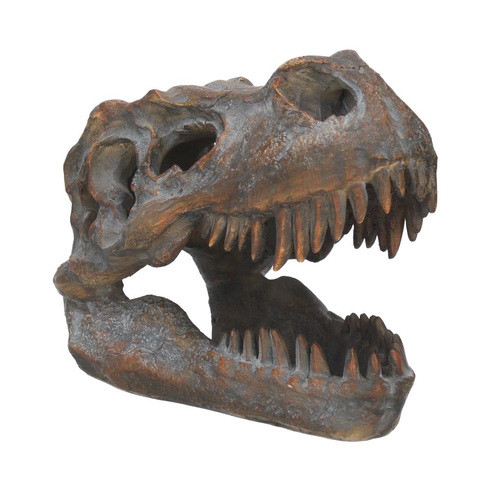 T-Rex Freestanding 16cm Dinosaur Skull Ornament Figurines Medium (15-29cm)
