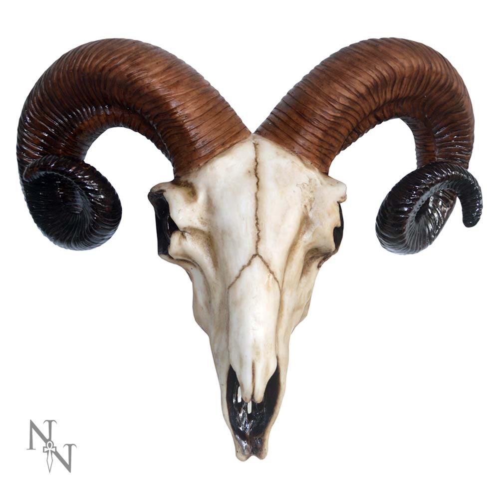Realistic Wall Mounted Rams Skull Home Décor