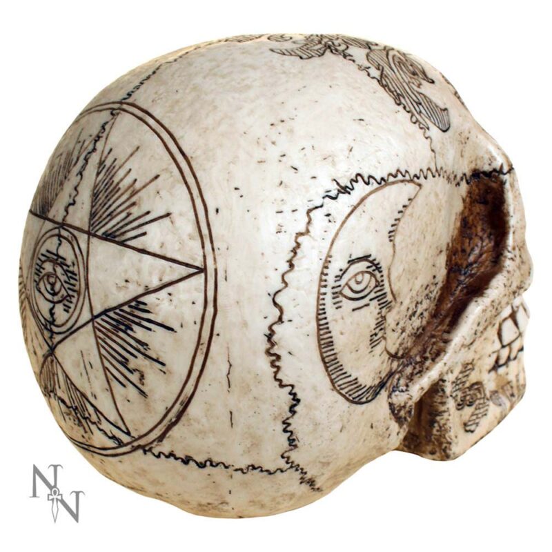 Nemesis Now Spirits Commune Skull 20cm Figurines Medium (15-29cm) 5