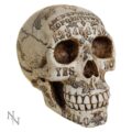 Nemesis Now Spirits Commune Skull 20cm Figurines Medium (15-29cm) 8