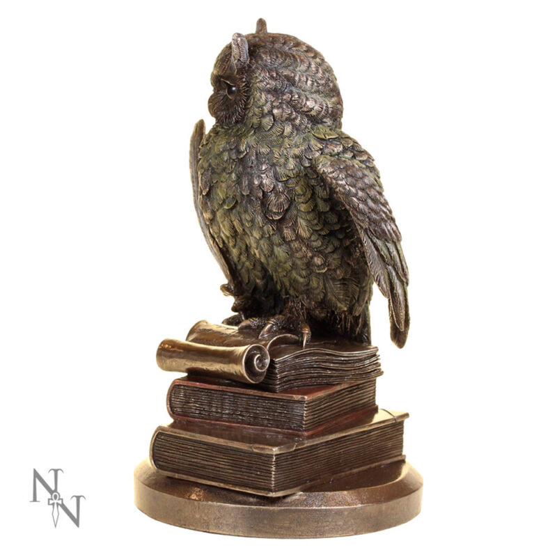Ulula Bronze Academic Owl Figurine Figurines Medium (15-29cm) 3