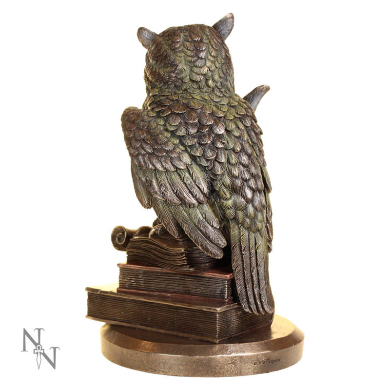 Ulula Bronze Academic Owl Figurine Figurines Medium (15-29cm) 5