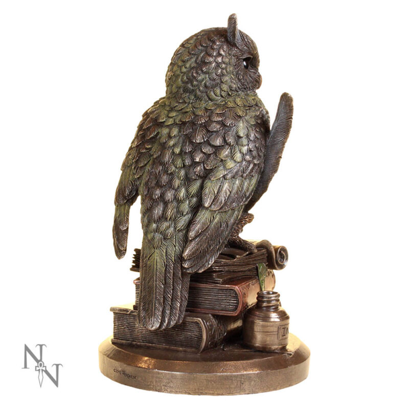 Ulula Bronze Academic Owl Figurine Figurines Medium (15-29cm) 7