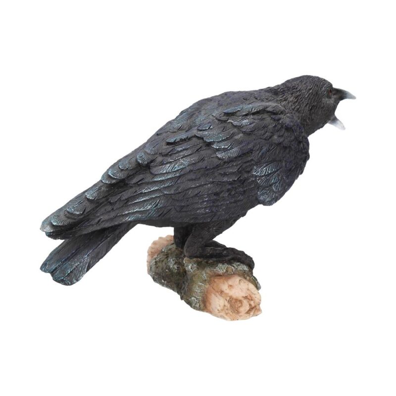 Raven’s Call Figurine Gothic Bird Ornament Figurines Medium (15-29cm) 7