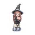 Regan Witch & Her Raven Figurine 15cm Figurines Medium (15-29cm) 2