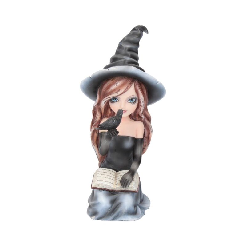 Regan Witch & Her Raven Figurine 15cm Figurines Medium (15-29cm)