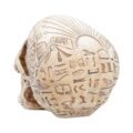 Hieroglyphic Skull Figurine Egyptain Hieroglyph Ornament Figurines Medium (15-29cm) 8