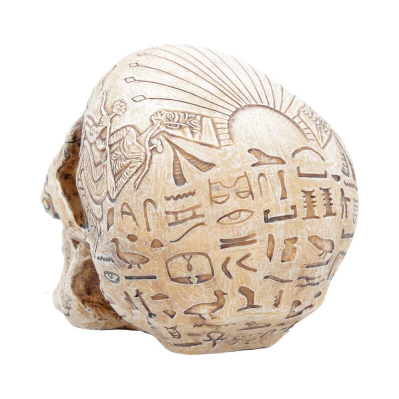 Hieroglyphic Skull Figurine Egyptain Hieroglyph Ornament Figurines Medium (15-29cm) 7