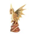 Adult Desert Dragon Figurine By Anne Stokes 24.5cm Figurines Medium (15-29cm) 4