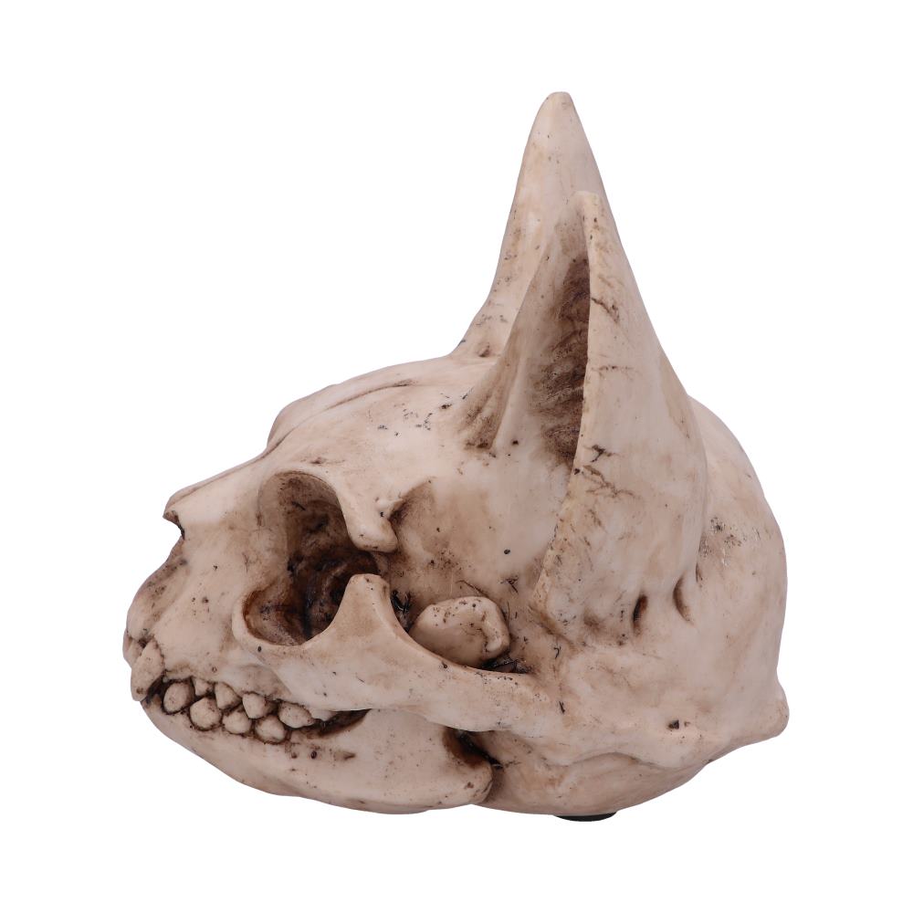 Bastet’s Secret Cat Skull Figurine Ornament Figurines Medium (15-29cm) 2