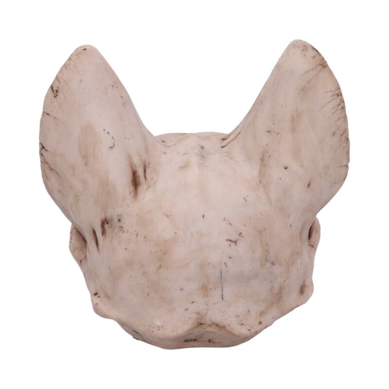 Bastet’s Secret Cat Skull Figurine Ornament Figurines Medium (15-29cm) 5