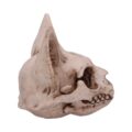 Bastet’s Secret Cat Skull Figurine Ornament Figurines Medium (15-29cm) 8