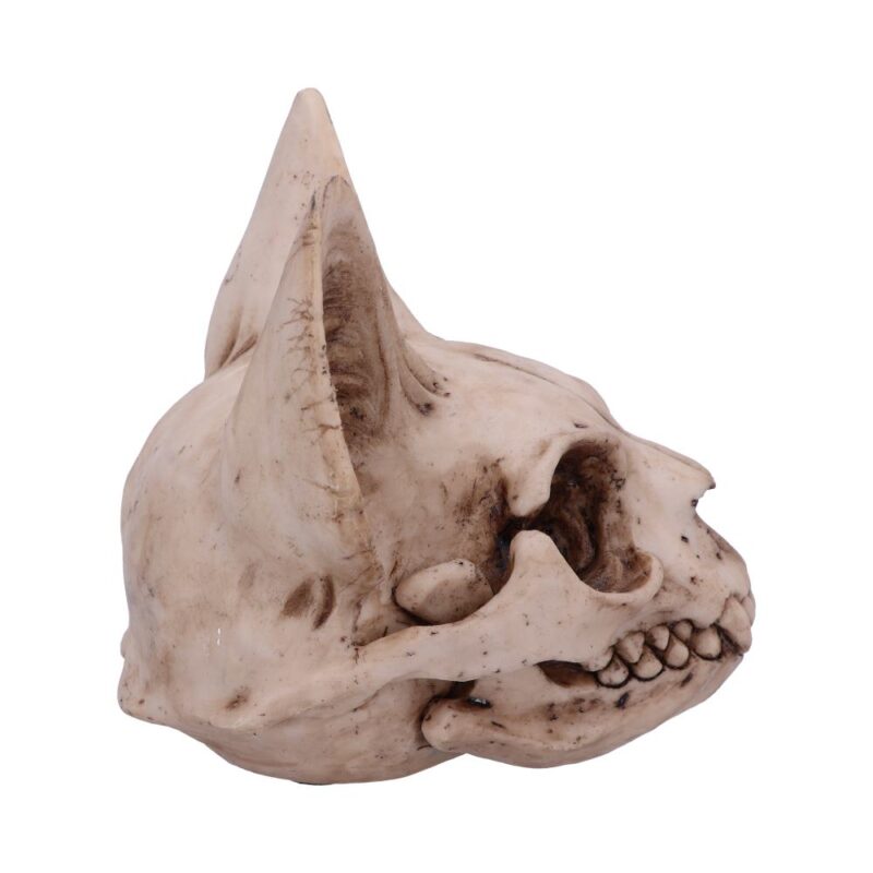 Bastet’s Secret Cat Skull Figurine Ornament Figurines Medium (15-29cm) 7