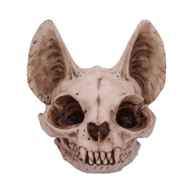 Bastet’s Secret Cat Skull Figurine Ornament Figurines Medium (15-29cm) 9