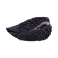 Edgar Allen Poe’s Nevermore Raven Skull Trinket Holder Jewellery Dish Figurines Medium (15-29cm) 4