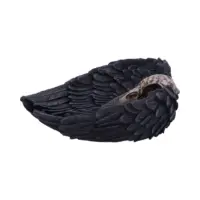 Nemesis Now Edgar Allen Poe’s Nevermore Raven Skull Trinket Holder Jewellery Dish 17cm Figurines Medium (15-29cm) 2