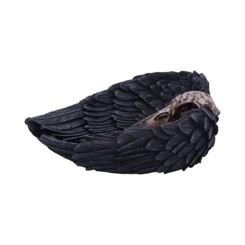 Edgar Allen Poe’s Nevermore Raven Skull Trinket Holder Jewellery Dish Figurines Medium (15-29cm) 3