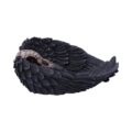 Edgar Allen Poe’s Nevermore Raven Skull Trinket Holder Jewellery Dish Figurines Medium (15-29cm) 8