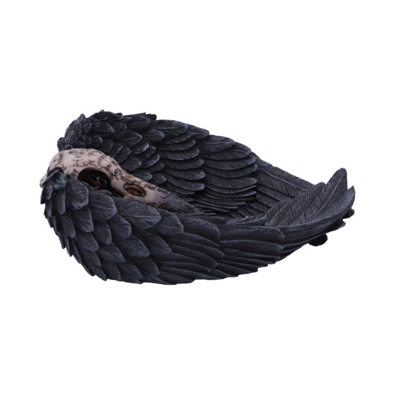 Edgar Allen Poe’s Nevermore Raven Skull Trinket Holder Jewellery Dish Figurines Medium (15-29cm) 7