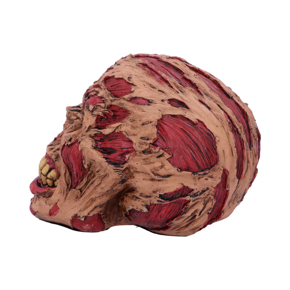 The Hoard Rotting Zombie Skull Ornament Figurines Medium (15-29cm) 2