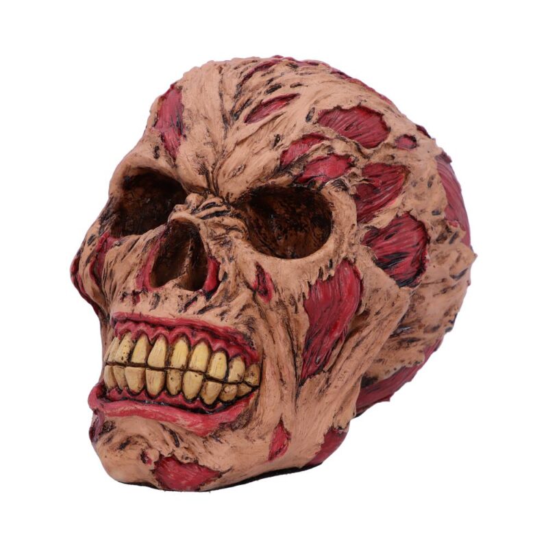 The Hoard Rotting Zombie Skull Ornament Figurines Medium (15-29cm) 9