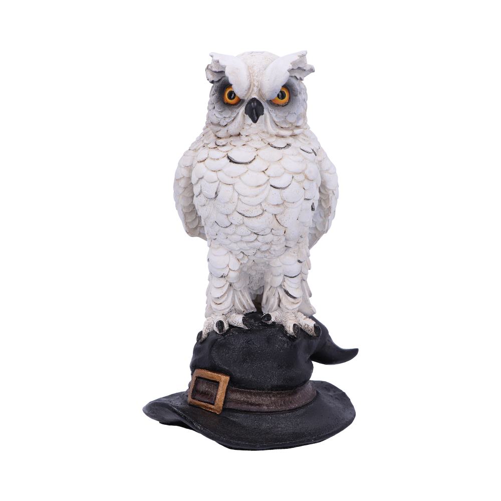 Soren White Horned Owl Perched on a Witches Hat Figurine Figurines Medium (15-29cm)