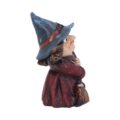 Toil Small Witch and Broomstick Figurine Figurines Small (Under 15cm) 8