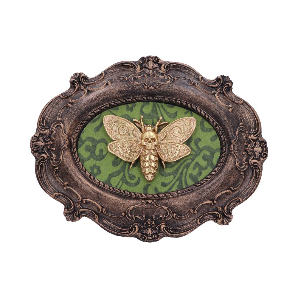 Moth Macabre Baroque Framed Death’s Head Moth Wall Plaque Home Décor