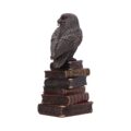 Bronze Spellcraft Witches Familiar Owl on Book Figurine Figurines Small (Under 15cm) 4