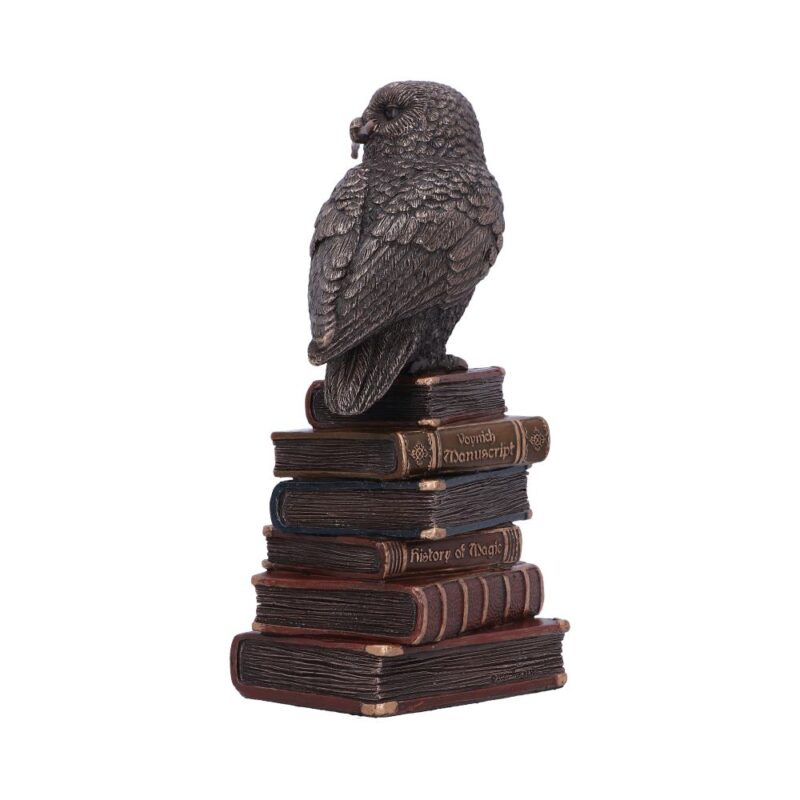 Bronze Spellcraft Witches Familiar Owl on Book Figurine Figurines Small (Under 15cm) 3