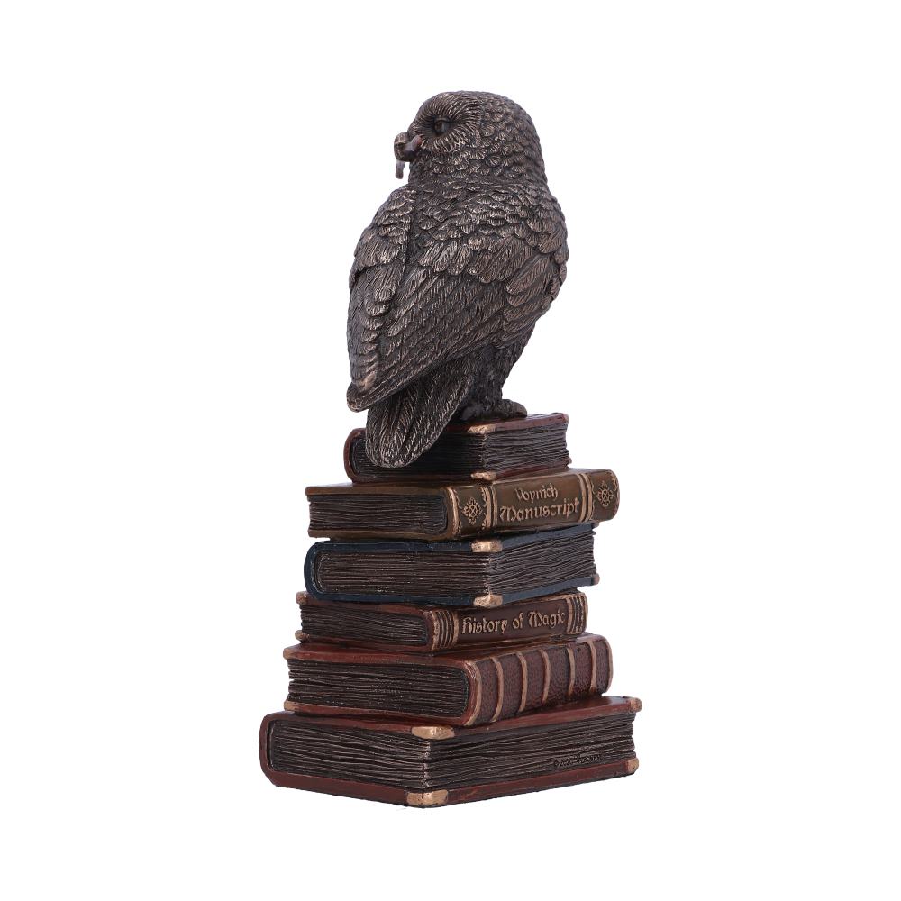 Bronze Spellcraft Witches Familiar Owl on Book Figurine Figurines Small (Under 15cm) 2
