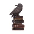 Bronze Spellcraft Witches Familiar Owl on Book Figurine Figurines Small (Under 15cm) 6
