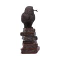 Bronze Spellcraft Witches Familiar Owl on Book Figurine Figurines Small (Under 15cm) 8