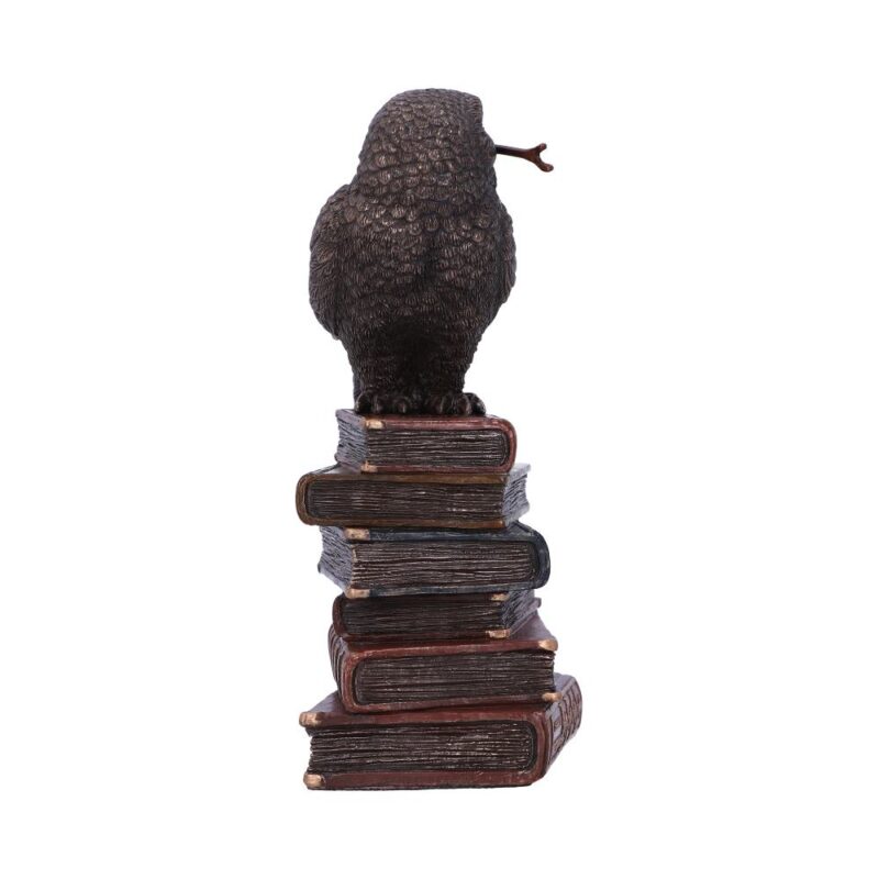 Bronze Spellcraft Witches Familiar Owl on Book Figurine Figurines Small (Under 15cm) 7