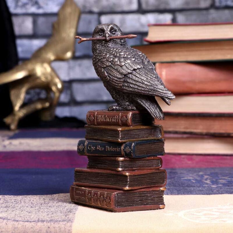 Bronze Spellcraft Witches Familiar Owl on Book Figurine Figurines Small (Under 15cm) 9