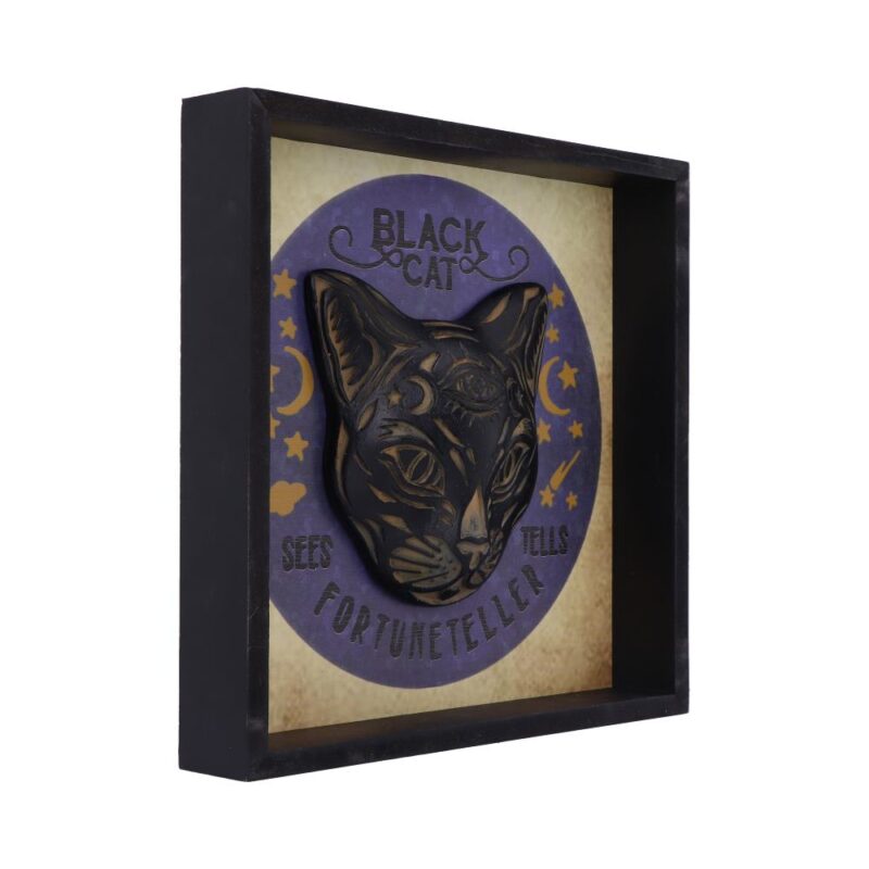 Black Cat Fortune Teller Picture Frame Wall Mounted Art 24cm Home Décor 7