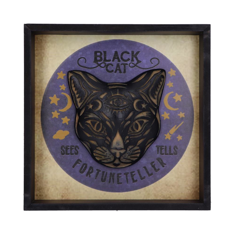 Black Cat Fortune Teller Picture Frame Wall Mounted Art 24cm Home Décor