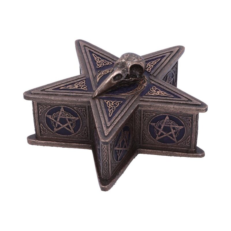 Pentagram Raven Box 16.5cm Boxes & Storage 3