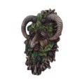 Spruce Wall Mounted Tree Spirit 20.8cm Home Décor 4