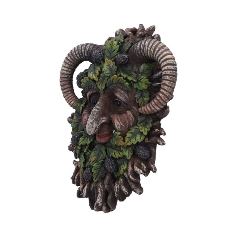 Spruce Wall Mounted Tree Spirit 20.8cm Home Décor 3