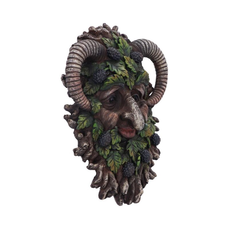 Spruce Wall Mounted Tree Spirit 20.8cm Home Décor 7