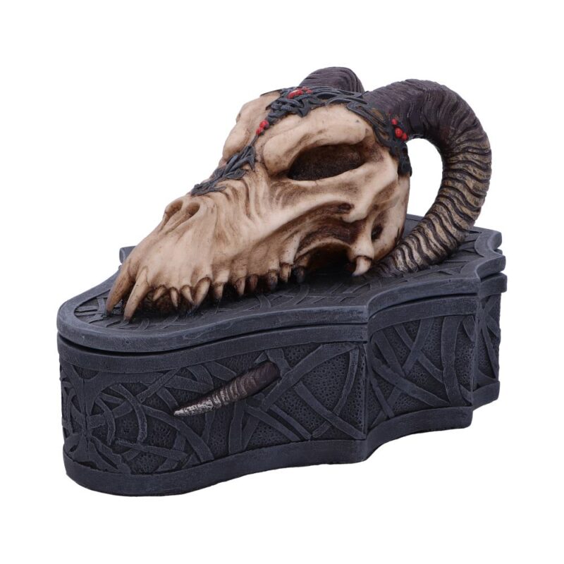 Dragon Skull Box (Monte Moore) 17.7cm Boxes & Storage 3