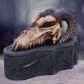 Dragon Skull Box (Monte Moore) 17.7cm Boxes & Storage 10