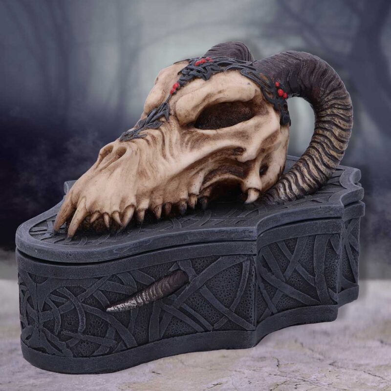 Dragon Skull Box (Monte Moore) 17.7cm Boxes & Storage 9